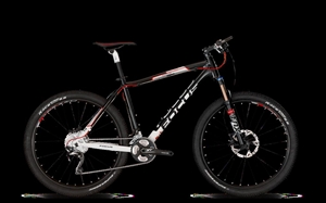 Black Forest 1.0   20-G  XTR