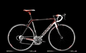 CAYO 2.0- Ultegra Grey