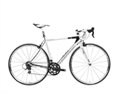 Q Race SL 28" 20-r. 105